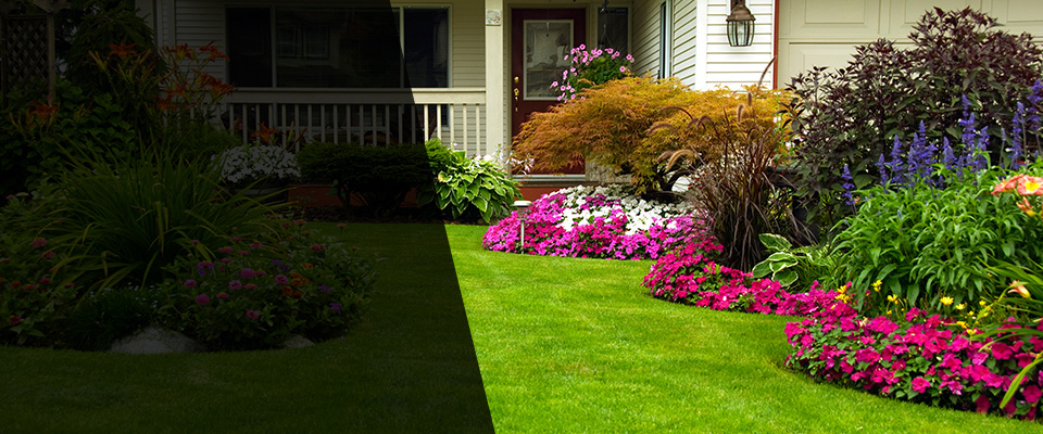 Cambria Heights Landscapers