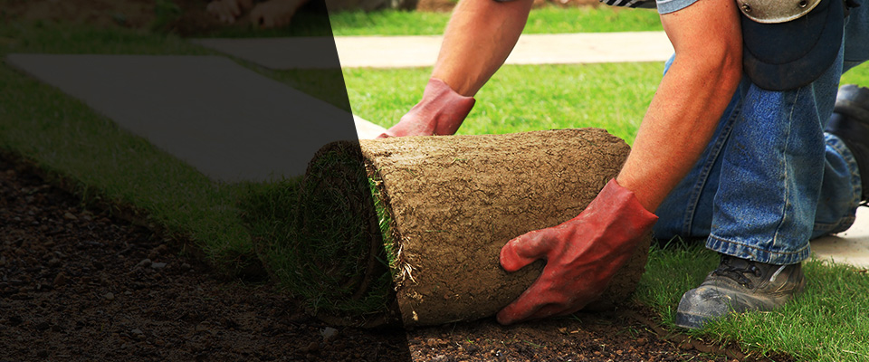 Cambria Heights Landscapers